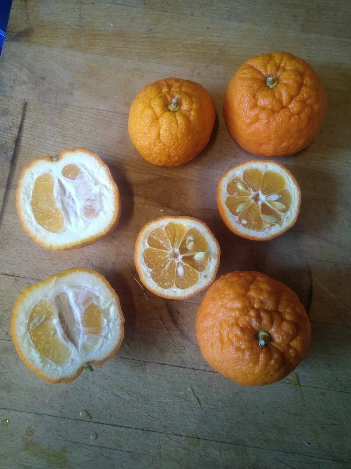 RATAFIA D'ORANGE AMÈRE – Image 2